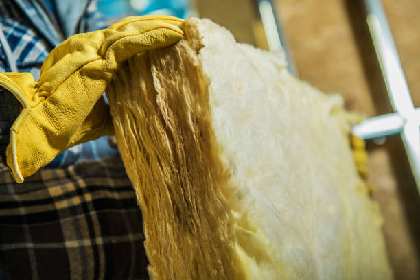Best Insulation Removal  in Stewart Manor, NY